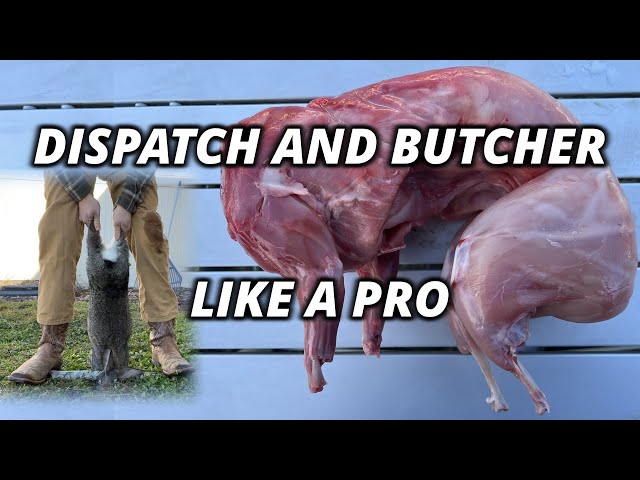 How to Raise and Butcher Meat Rabbits: COMPLETE GUIDE class=