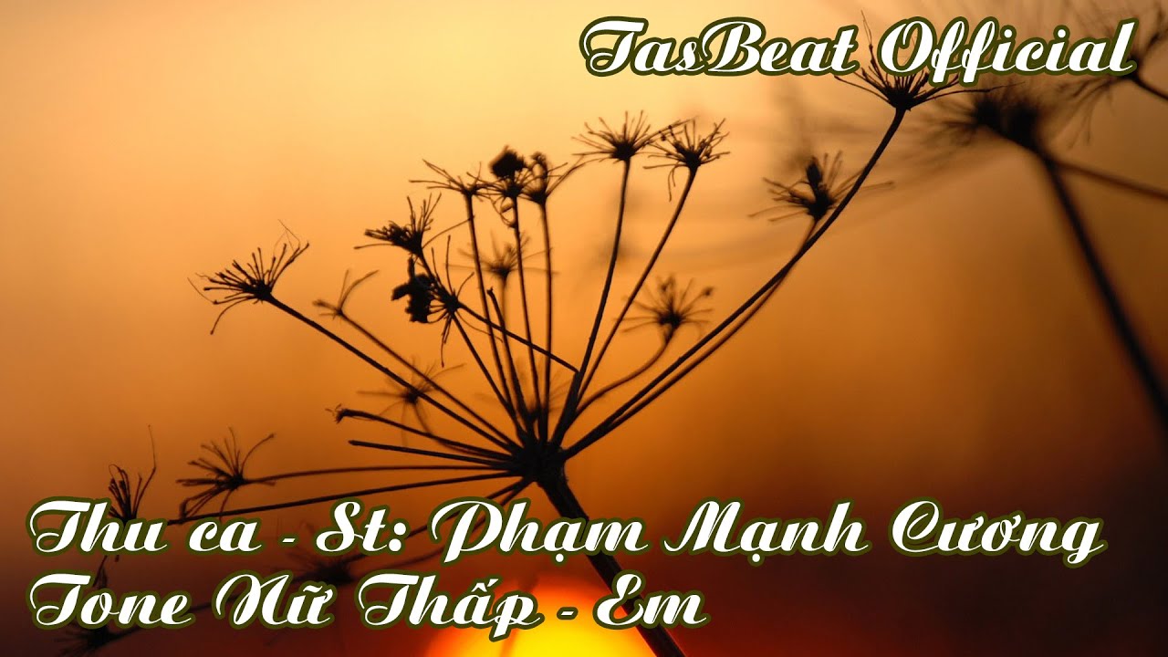 Karaoke Thu Ca - Tone Nữ Thấp | TAS BEAT