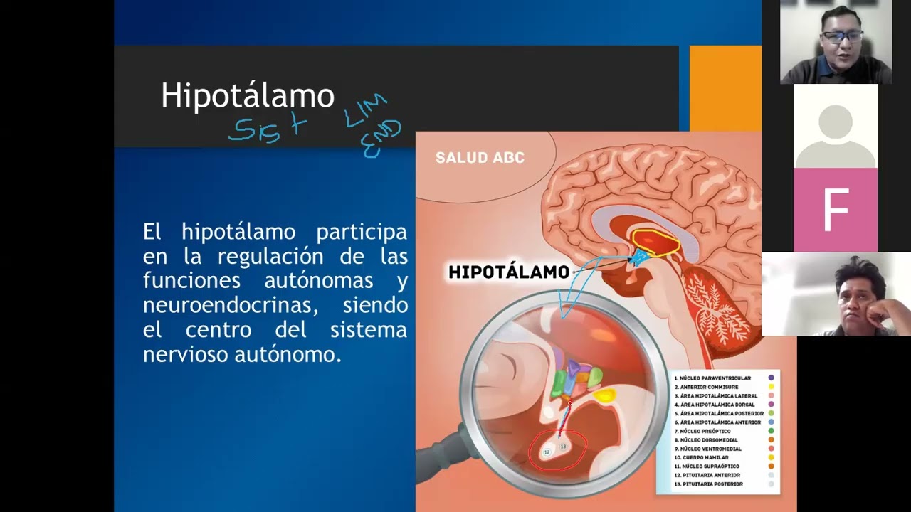 CLASE 2 FUNDAMENTOS DE NEUROPSICOLOGÍA