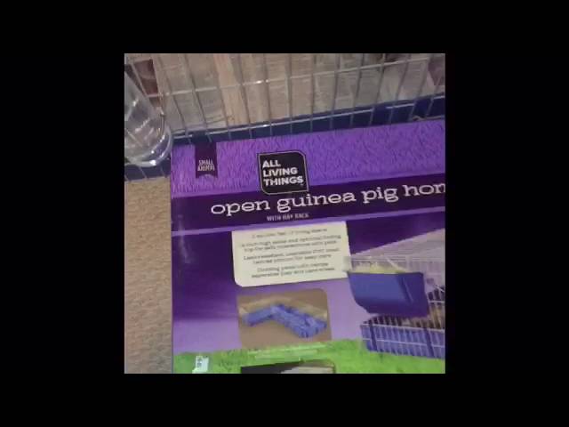 all living things guinea pig home with playpen