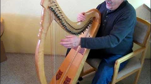 Custom Bronze wire strung harp, with Spruce sound board, and full set of Loveland sharping levers.