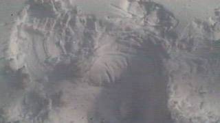 CLIP0276.ASF