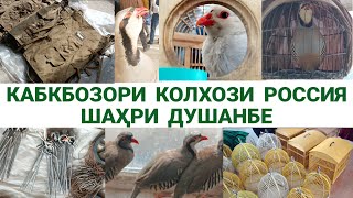 Кабкбозори колхози Россия ш. Душанбе 11.02.2024