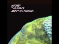Audrey - Rats
