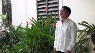 Xf. Toog Thoj - Lub Timkhawv