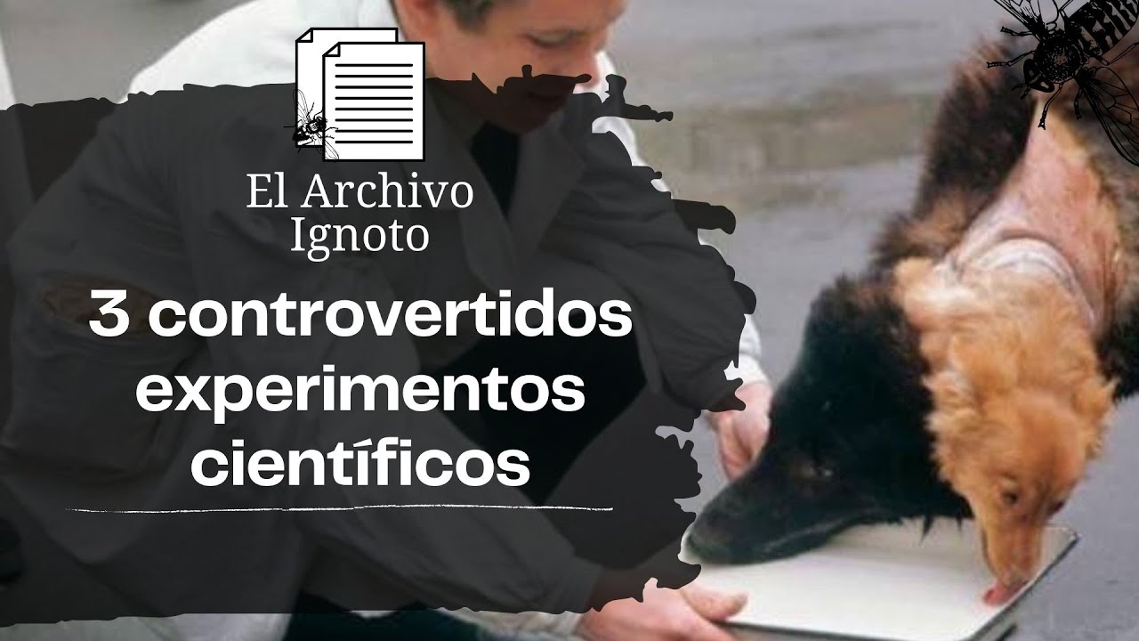 3 controvertidos experimentos científicos