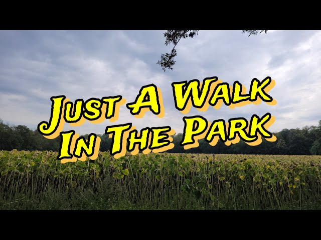 Off-Topic - Just For Fun - A Walk In The Park  :-)