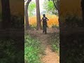 #Willy #and #stopping #cycle #stunt
