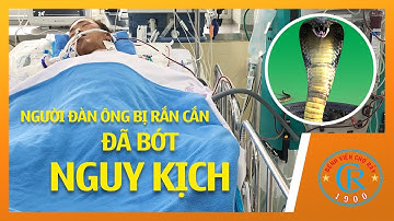Người đàn ông bị rắn cắn đã bớt nguy kịch
