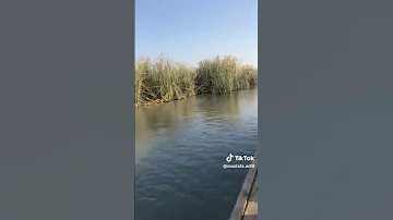 نعي حزين وديتلك دمعه ويه الطروش انه الحال بعدك حيل موخوش 