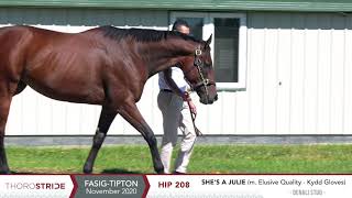 Shes A Julie m Elusive Quality