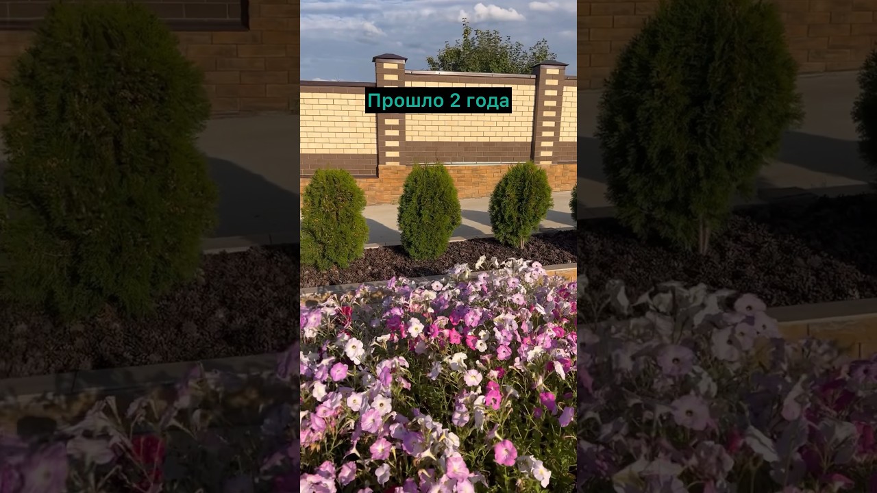 Благоустраиваем участок. 