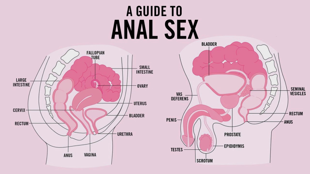 10 Benefits Of Anal Sex - YouTube