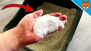 Celebrity Dump THAT in the Litter Box and WATCH WHAT HAPPENS 💥 (Genius) 🤯 Wealth