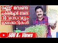 Microgreens at Home | ദിവസവും ഇലക്കറികൾ നമ്മുടെ വീട്ടിൽത്തന്നെ ഉണ്ടാക്കിയെടുക്കാം