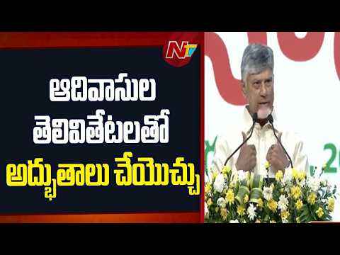 గిరిజన ప్రాంతాలు వెనుకబడినవి కాదు.. అపార అవకాశాలు ఉన్న ప్రాంతాలు: CM Chandrababu | NTV Telugu - NTVTELUGU