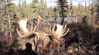 Troy Sessions  DIY Giant 65 Inch Moose!