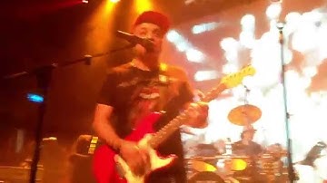 Paulo Mendonca -  Birds and the Bees