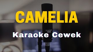 Karaoke Camelia Rhoma Irama Nada Cewek