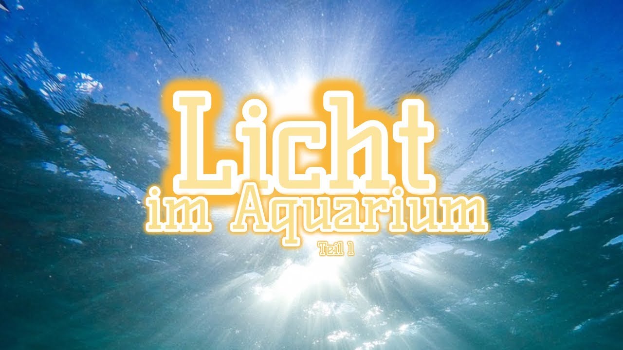 Licht im Aquarium Teil 1 Lux, Lumen, Kelvin, PAR, Wellenlänge