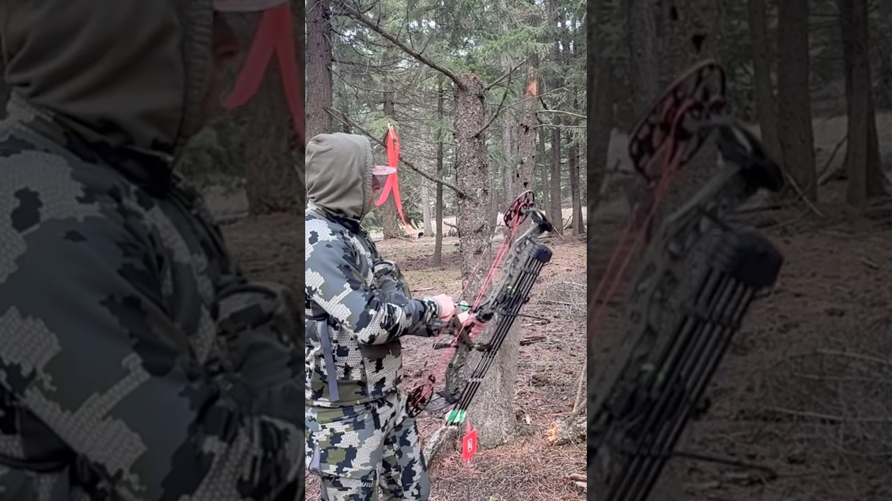 Antelope through the tree #archery #shorts #mathews #content #subscribe #kuiu #3ksubs #bowshoot