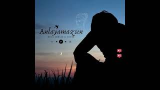 Anlayamazsın (cover) Resimi