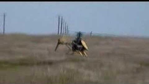 T-rex 450 XL first hover and set-up