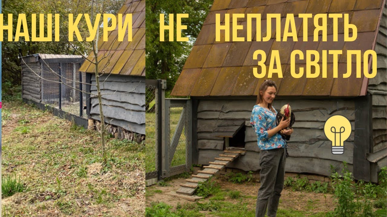 Сонячна панель в куринику