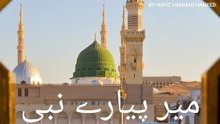 Mere pyare Nabi ️️by HAFIZ HAMMAD HAMEED #naat