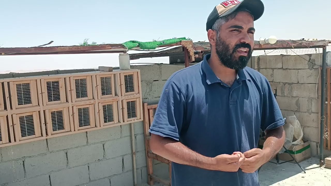 اخر مراحل كرش الفراخ ٣