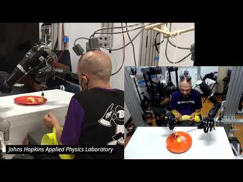 Watch a quadriplegic patient control two robotic arms | Science News