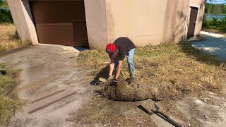 This NEGLECTED driveway Leaves NEIGHBOR in AWE!! by Al Bladez 1,247,966 views 9 months ago 37 minutes