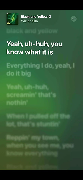 Download lagu Black and Yellow - Wiz Khalifa