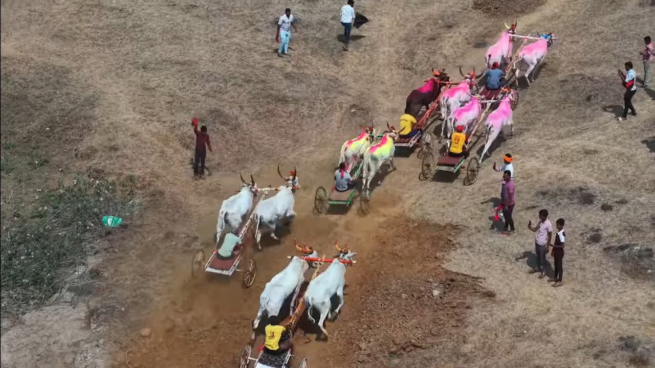 मुरगूड जनरल बैलगाडी शर्यत बक्षीस 51000 | रास्त मैदान 