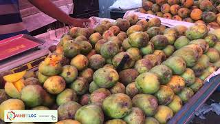 Seasonal fruits and vegetables Market 🇧🇩 বাজারে হরেক রকমের মৌসুমি ফলে ভরপুর@mhbvlog