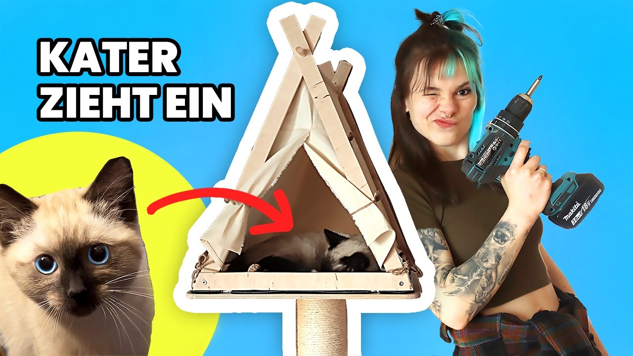 Baut mit mir ein Kratzbaumhaus - bin jetzt Katzenmama! DIY