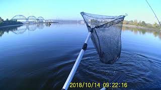 Lovlya Sudakanadzhigosenyu.