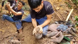 The couple went to the forest to dig bamboo to eat for the day