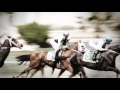 Sunland Park Racetrack & Casino - YouTube