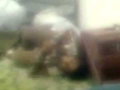 معدش بيقف بلبولى