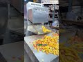 Namkeen Fryer Machine “अब नमकीन तलेगा एकदम गोल्डन और क्रिस्पी – हर बैच में एक जैसा स्वाद!” #shorts