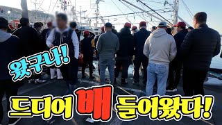 왔구나! 살 꽉찼네! 5척 배 들어 오면? 아침 5시! 대체 왜 모일까! 진짜 15마리 이가격 가능해? korean fish market channel