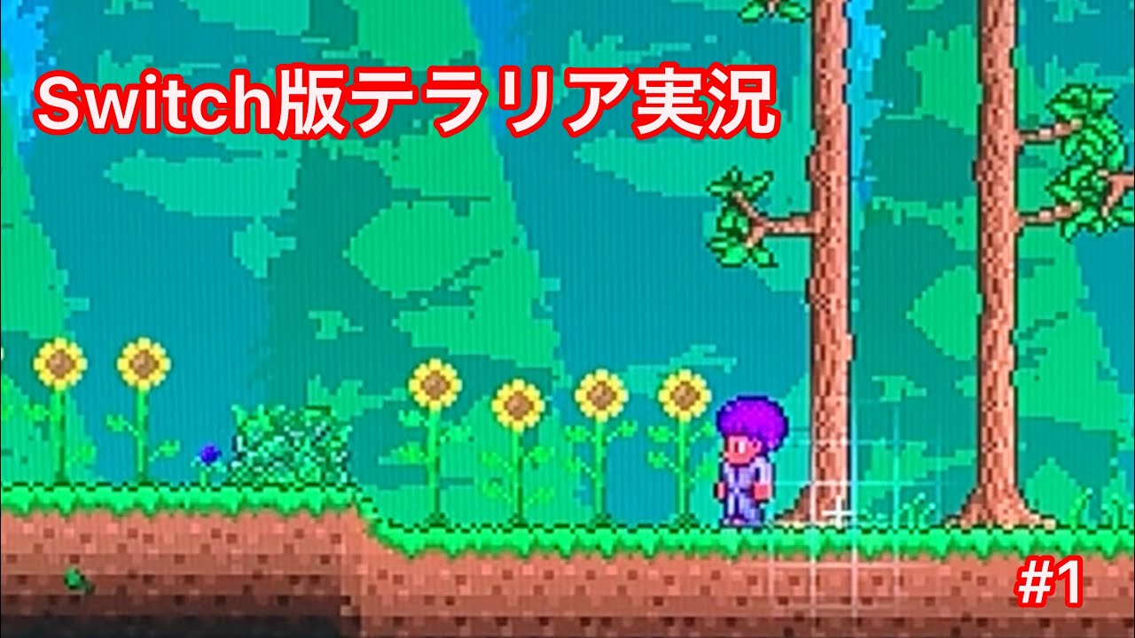 【Switch版テラリア実況】#1 まずはキャラの作成と木材集め！