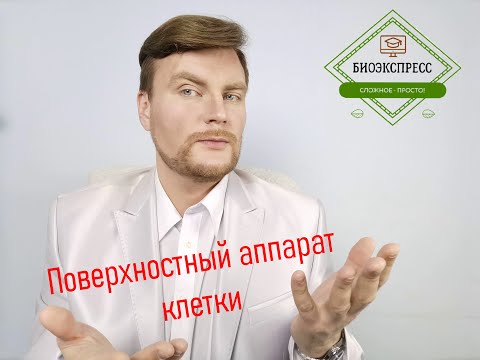 Video: Клетка мембранасы прокариотпу же эукариотпу?