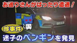 パトロール中の警官が『迷子のペンギン』に遭遇「一番おかしな発見だった」【マスクにゃんニュース】