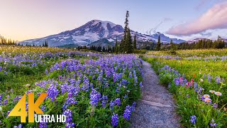 Pacific Northwest 4K - Beautiful Nature of Washington State - Leavenworth and Mt. Rainier - Part #3 screenshot 4