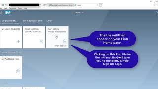 Logging in using single sign on through a web browser