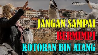 ARTI MIMPI KOTORAN HEWAN | MIMPI TAHI BURUNG | MIMPI TAHI KUCING