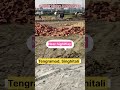 Plot for sale in Varanasi | Land for sale in varanasi | Property for sale in Varanasi |