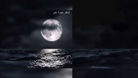 أواخر سورة يس .. بصوت القارئ محمد حلمى